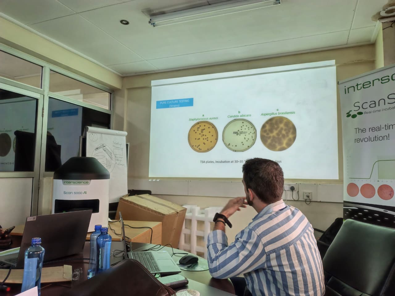 Automated Microbial Colony Counting Training