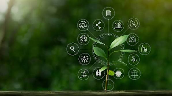 ESG Compliance and Sustainability